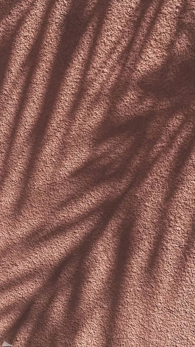 Textured rose-earth lime plaster with palm shadows